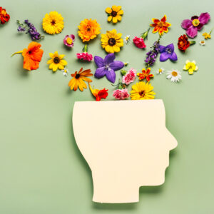 Practitioner Mental Health and Wellbeing at Work