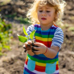 Sustainability in the Early Years Setting