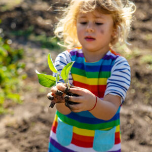 Sustainability in the Early Years Setting