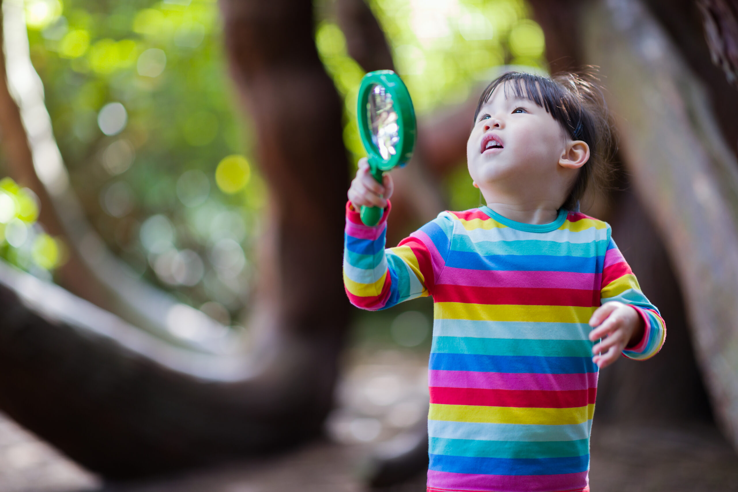 In-the-Moment Planning and Child-Led Practice