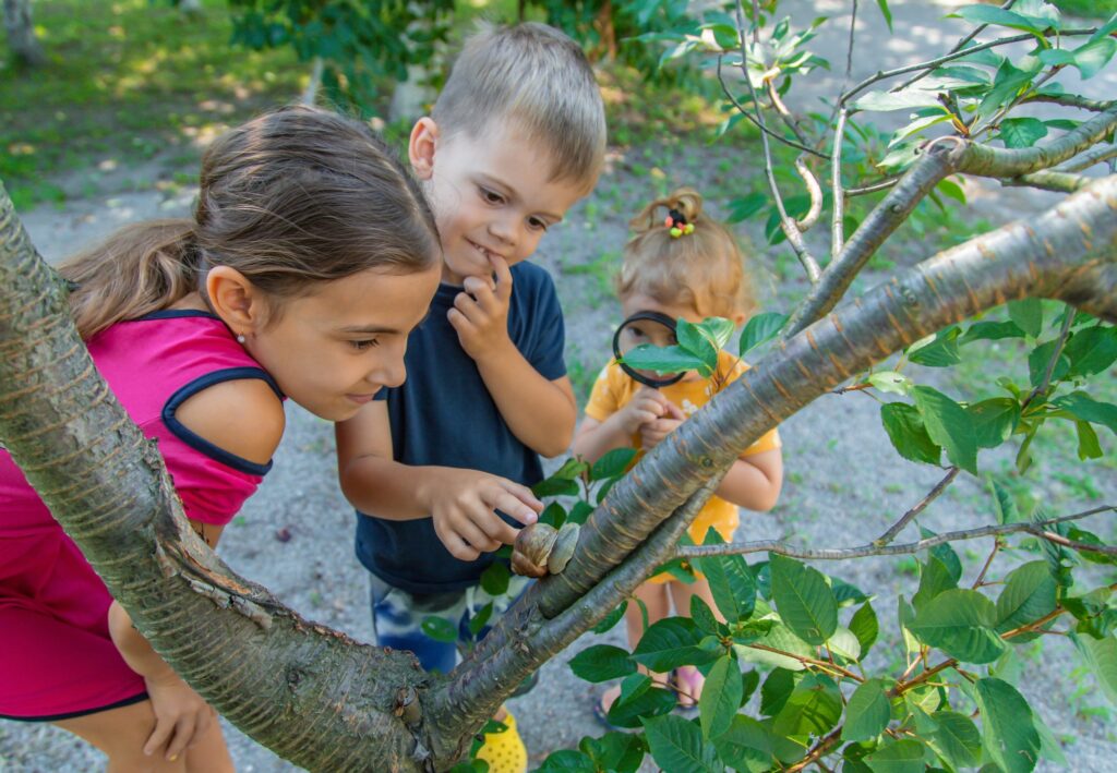 Children outdoors looking at a snail with a magnifying glass