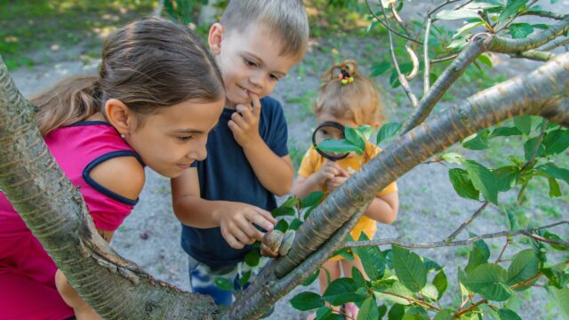 Children outdoors looking at a snail with a magnifying glass